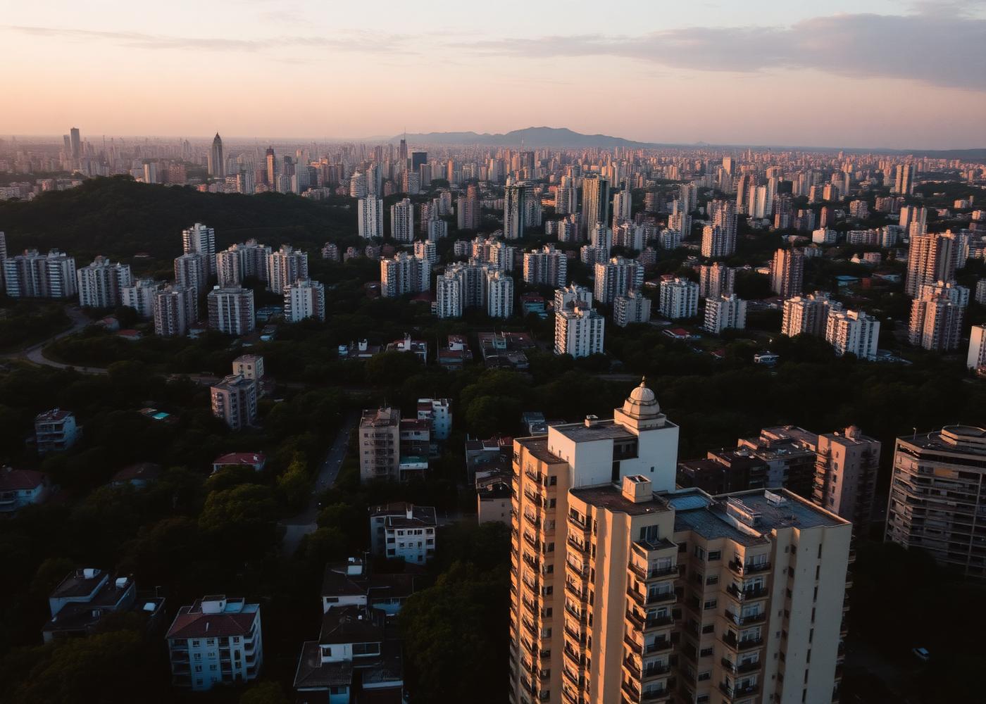 Referência visual — curadoria